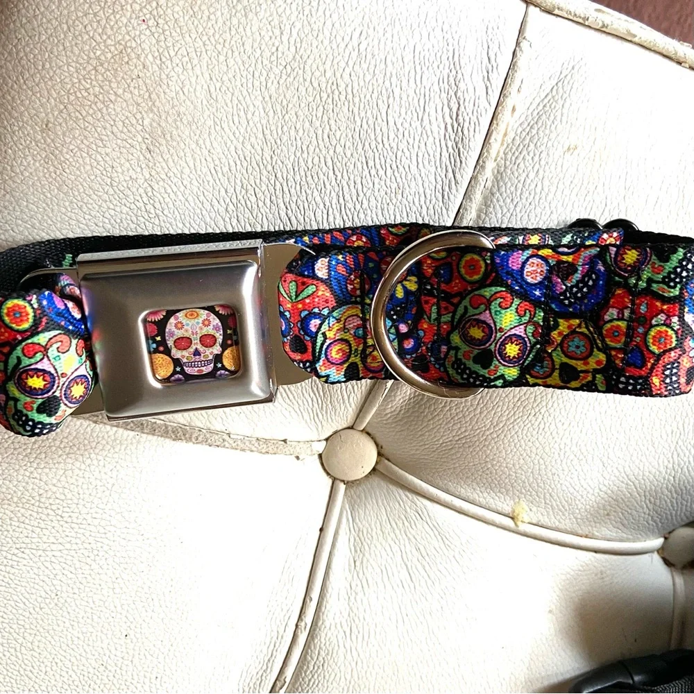 Buckle down dog collar skull adjustable good condition